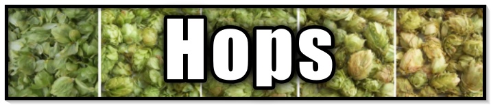 /ARSUserFiles/40663/Pictures/Hops banner.jpg